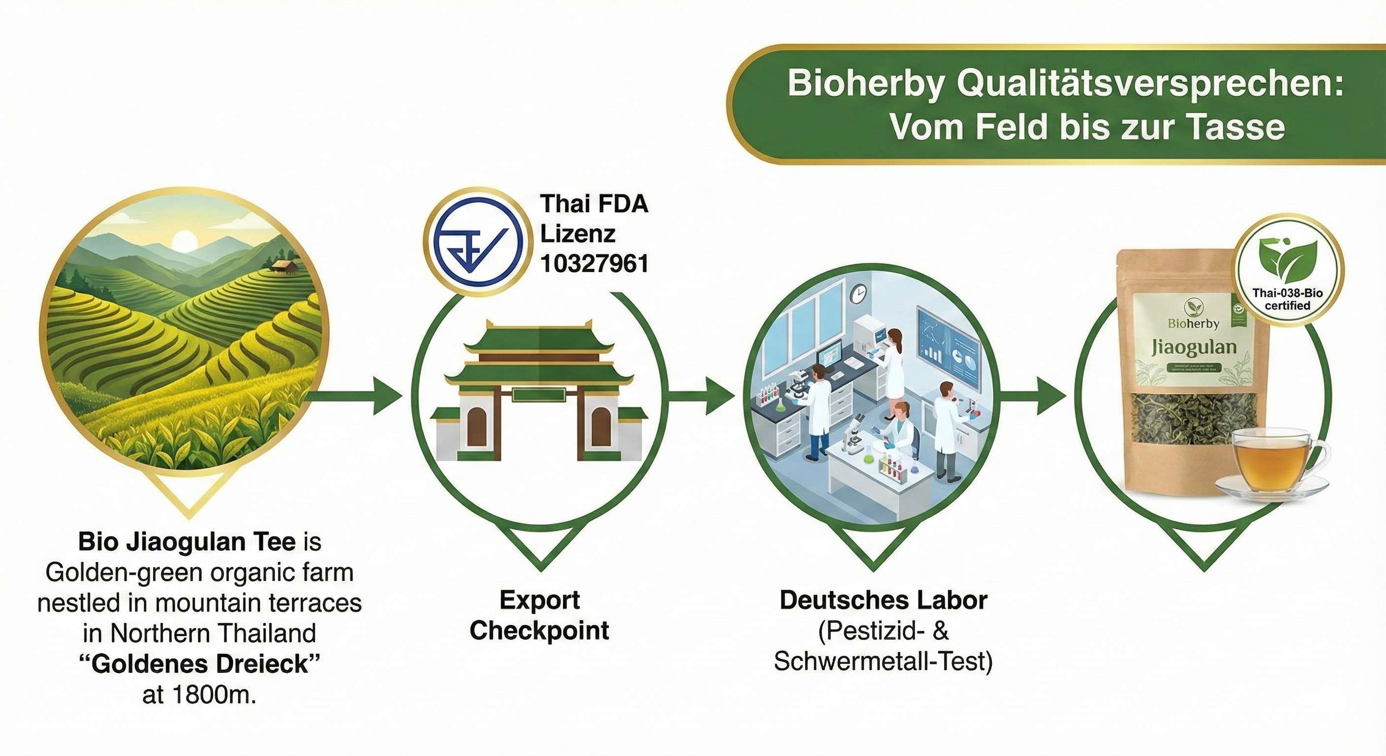 Bioherby Qualitätskette: Vom Goldenen Dreieck Thailand über Bio-Ernte, Thai FDA Zertifizierung, deutsches Labor bis zu Ihrem Tee – Farm to Cup Qualitätssicherung